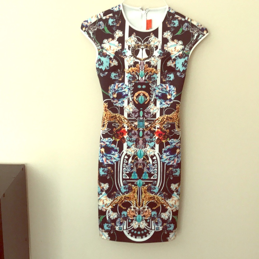 Clover canyon dress